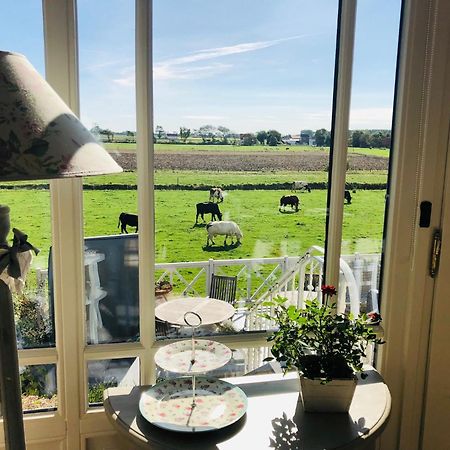 Bed & Breakfast Het Zilte Zand - Luxe Ontbijt - Gratis Parking - Westende Middelkerke Exterior photo